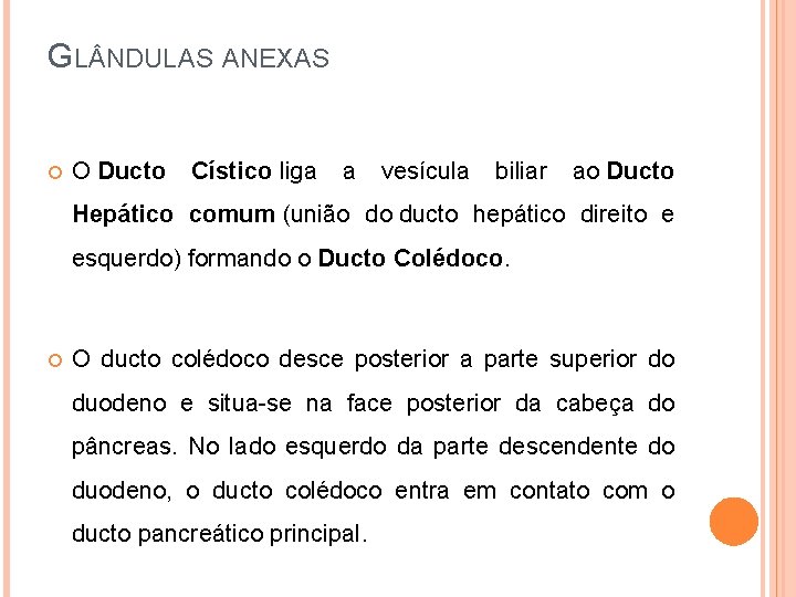 GL NDULAS ANEXAS O Ducto Cístico liga a vesícula biliar ao Ducto Hepático comum