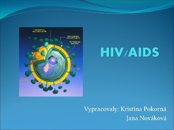 HIV/AIDS Vypracovaly: Kristina Pokorná Jana Nováková 