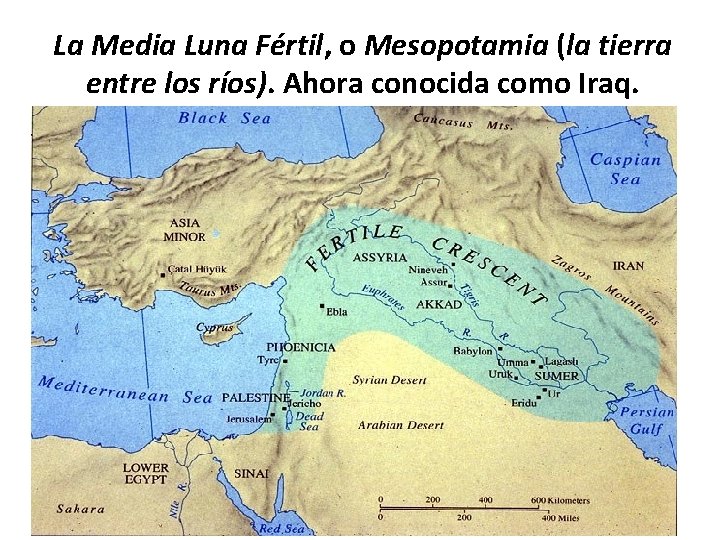 La Media Luna Fértil, o Mesopotamia (la tierra entre los ríos). Ahora conocida como