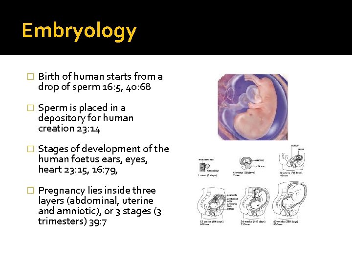Embryology � Birth of human starts from a drop of sperm 16: 5, 40: