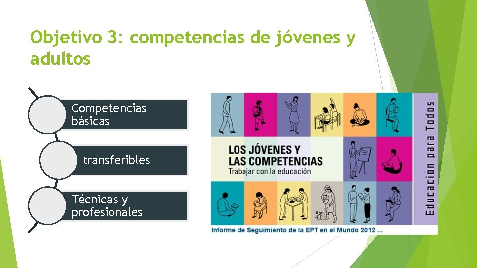 Objetivo 3: competencias de jóvenes y adultos Competencias básicas transferibles Técnicas y profesionales 