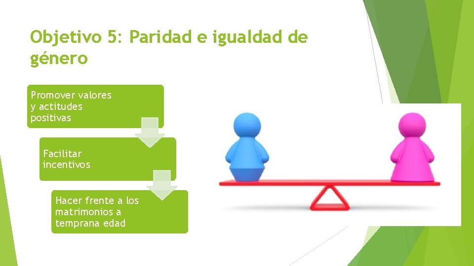 Objetivo 5: Paridad e igualdad de género Promover valores y actitudes positivas Facilitar incentivos