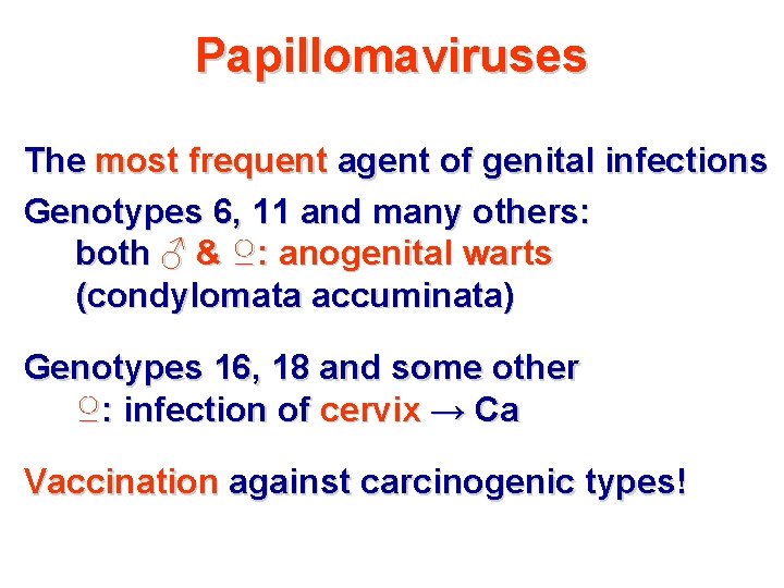 Papillomaviruses The most frequent agent of genital infections Genotypes 6, 11 and many others: