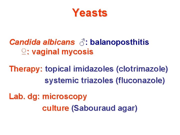 Yeasts Candida albicans ♂: balanoposthitis ♀: vaginal mycosis Therapy: topical imidazoles (clotrimazole) systemic triazoles