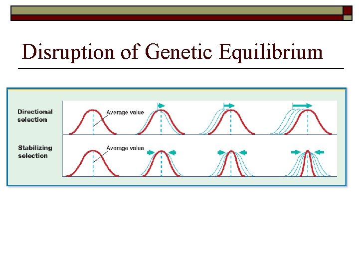 Disruption of Genetic Equilibrium 