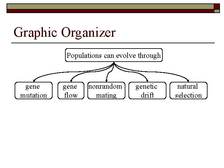 Graphic Organizer Populations can evolve through gene mutation gene flow nonrandom mating genetic drift