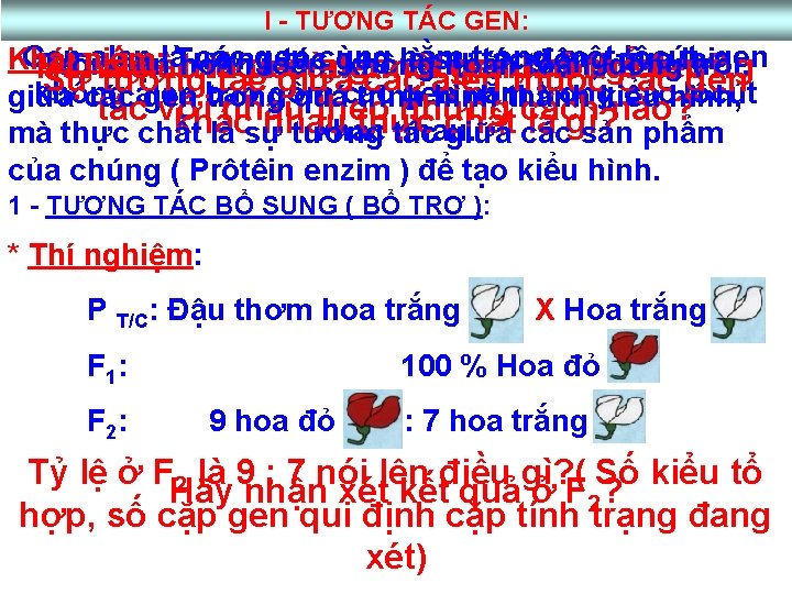 I - TƯƠNG TÁC GEN: Gen alen làTương các gen cùng nằm trong một