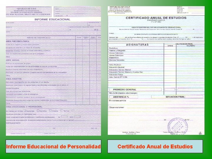 Informe Educacional de Personalidad Certificado Anual de Estudios 