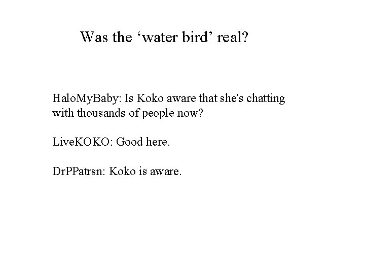 Was the ‘water bird’ real? Halo. My. Baby: Is Koko aware that she's chatting