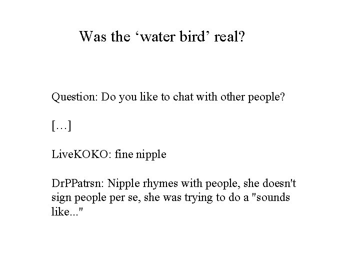Was the ‘water bird’ real? Question: Do you like to chat with other people?