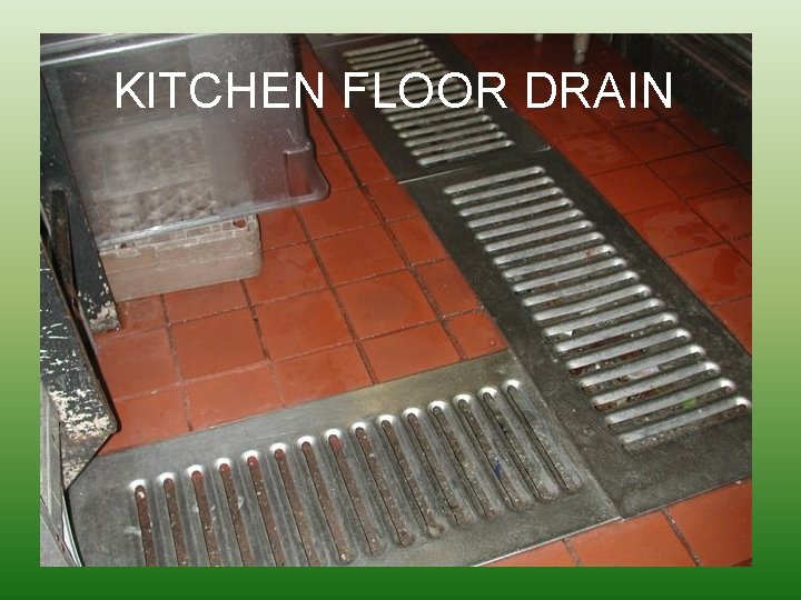 KITCHEN FLOOR DRAIN 