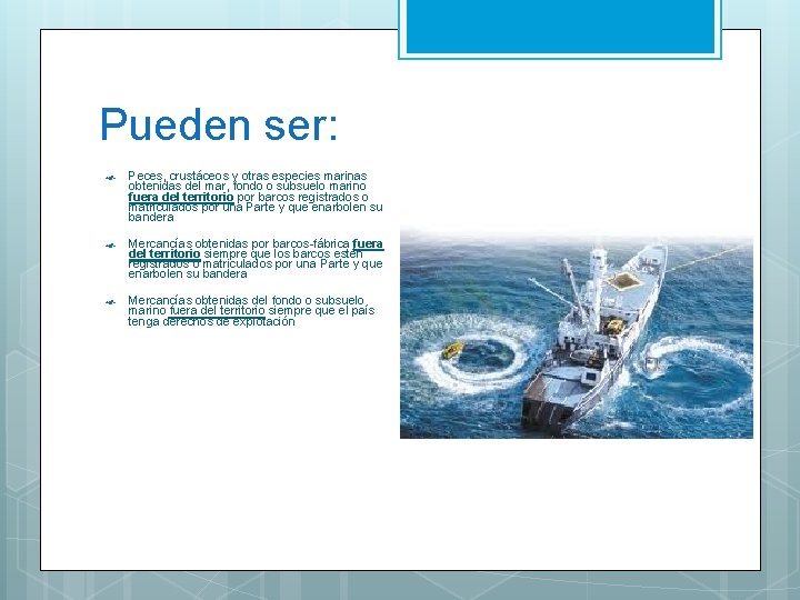 Pueden ser: Peces, crustáceos y otras especies marinas obtenidas del mar, fondo o subsuelo