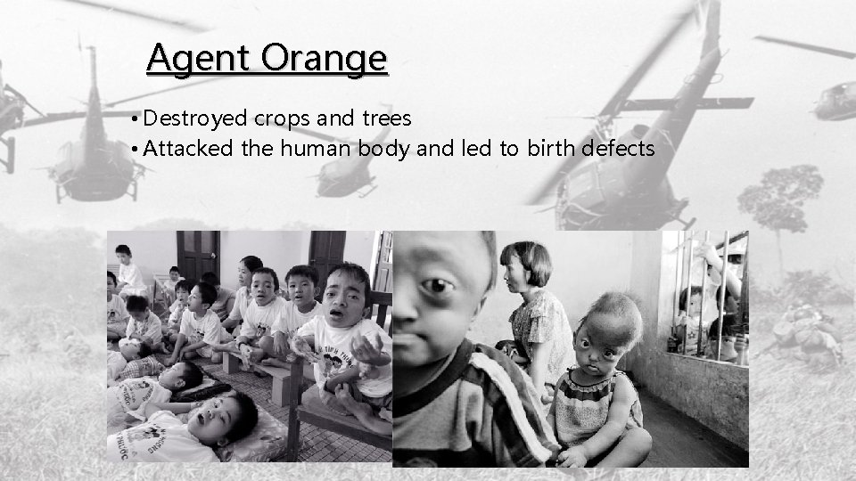 Agent Orange • Destroyed crops and trees • Attacked the human body and led