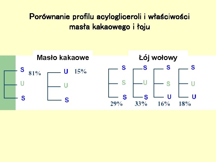 Porównanie profilu acylogliceroli i właściwości masła kakaowego i łoju Masło kakaowe Łój wołowy 