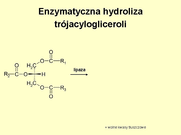 Enzymatyczna hydroliza trójacylogliceroli lipaza + wolne kwasy tłuszczowe 