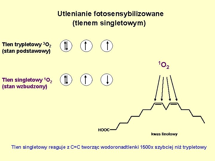 Utlenianie fotosensybilizowane (tlenem singletowym) Tlen trypletowy 3 O 2 (stan podstawowy) 1 O 2