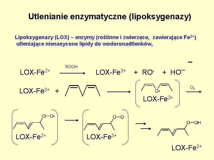 Utlenianie enzymatyczne (lipoksygenazy) Lipoksygenazy (LOX) – enzymy (roślinne i zwierzęce, zawierające Fe 2+) utleniające