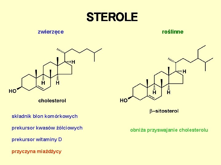 STEROLE zwierzęce roślinne składnik błon komórkowych prekursor kwasów żółciowych prekursor witaminy D przyczyna miażdżycy