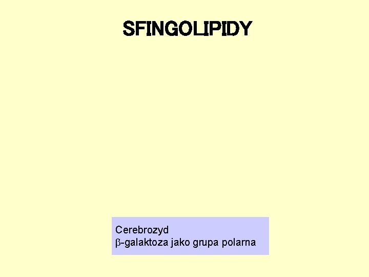 SFINGOLIPIDY Cerebrozyd -galaktoza jako grupa polarna 