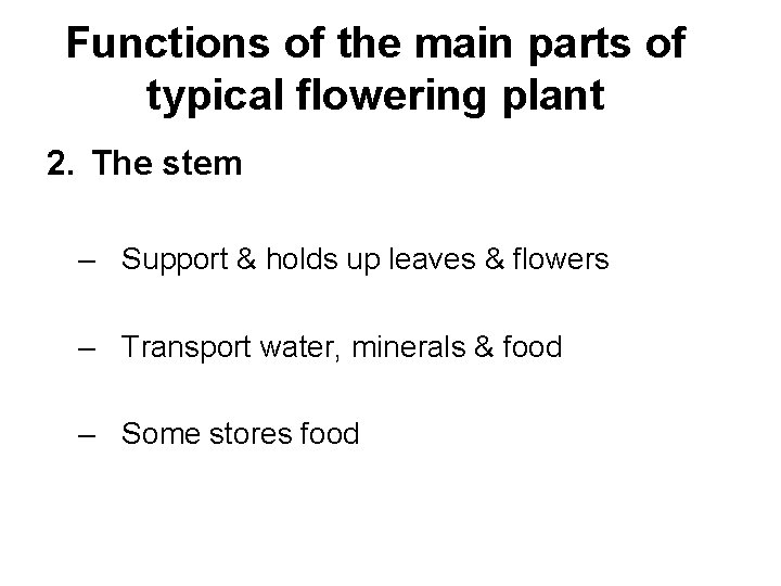Functions of the main parts of typical flowering plant 2. The stem – Support