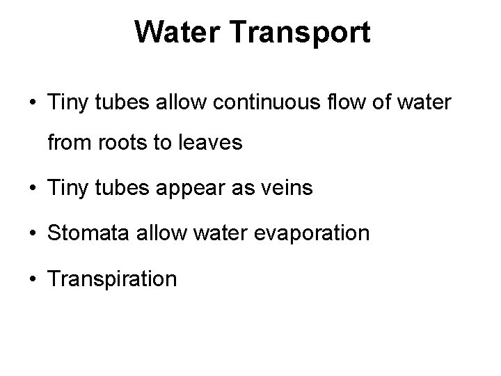 Water Transport • Tiny tubes allow continuous flow of water from roots to leaves
