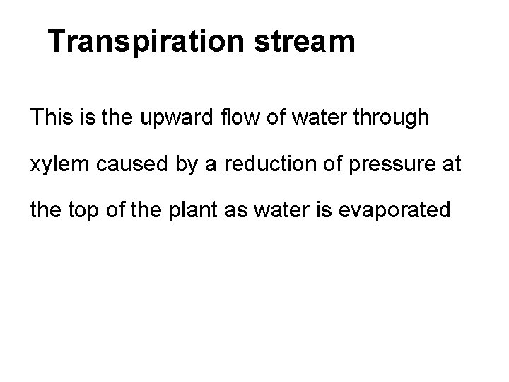 Transpiration stream This is the upward flow of water through xylem caused by a