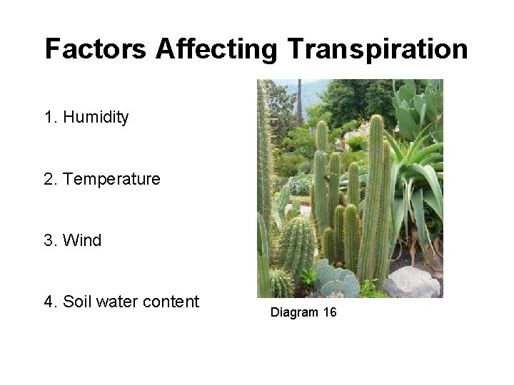 Factors Affecting Transpiration 1. Humidity 2. Temperature 3. Wind 4. Soil water content Diagram