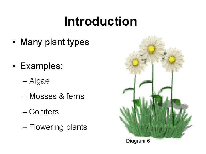 Introduction • Many plant types • Examples: – Algae Diagram 4 – Mosses &