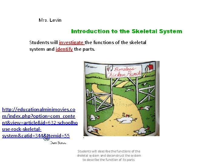 Students will investigate the functions of the skeletal system and identify the parts. http: