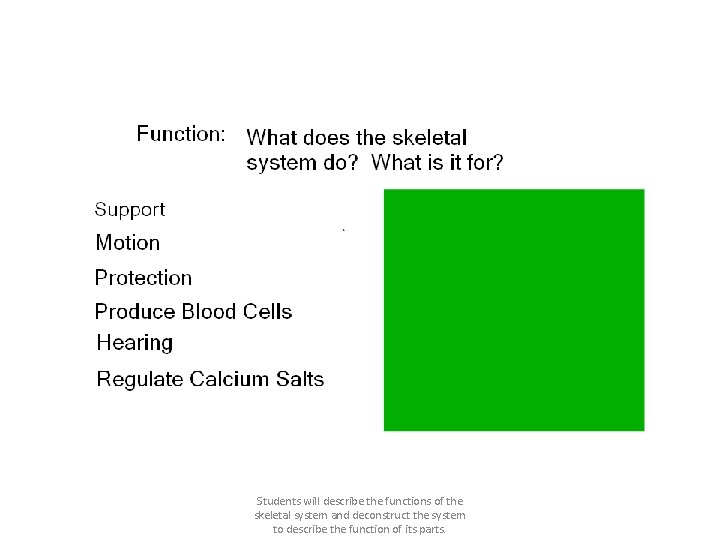 Students will describe the functions of the skeletal system and deconstruct the system to