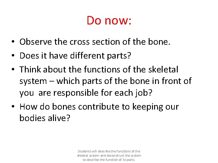 Do now: • Observe the cross section of the bone. • Does it have