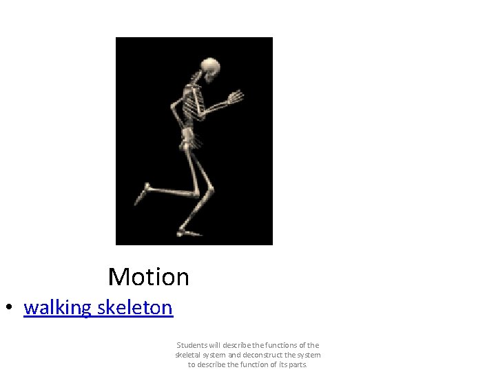 Motion • walking skeleton Students will describe the functions of the skeletal system and
