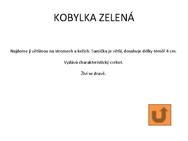 KOBYLKA ZELENÁ Najdeme ji většinou na stromech a keřích. Samička je větší, dosahuje délky