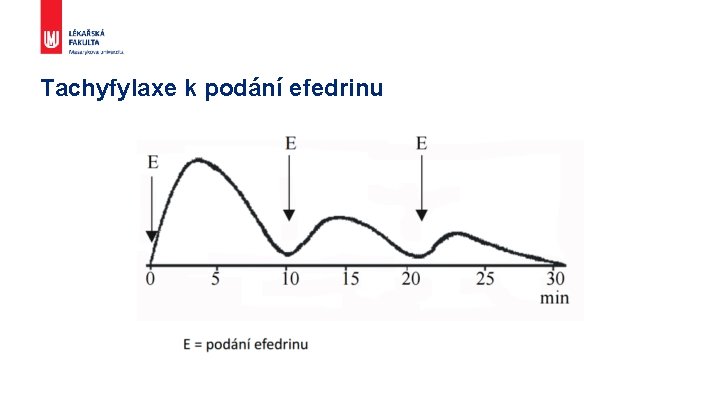 Tachyfylaxe k podání efedrinu 