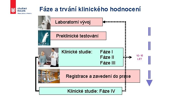 Fáze a trvání klinického hodnocení Laboratorní vývoj Preklinické testování Klinické studie: Fáze III Registrace