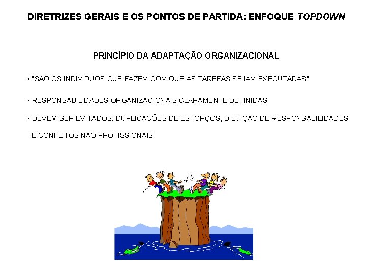 DIRETRIZES GERAIS E OS PONTOS DE PARTIDA: ENFOQUE TOPDOWN PRINCÍPIO DA ADAPTAÇÃO ORGANIZACIONAL •
