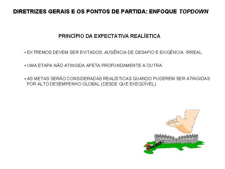 DIRETRIZES GERAIS E OS PONTOS DE PARTIDA: ENFOQUE TOPDOWN PRINCÍPIO DA EXPECTATIVA REALÍSTICA •