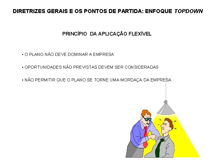 DIRETRIZES GERAIS E OS PONTOS DE PARTIDA: ENFOQUE TOPDOWN PRINCÍPIO DA APLICAÇÃO FLEXÍVEL •