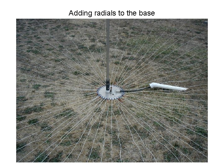 Adding radials to the base 