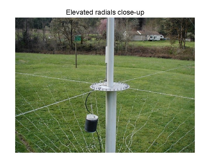 Elevated radials close-up 