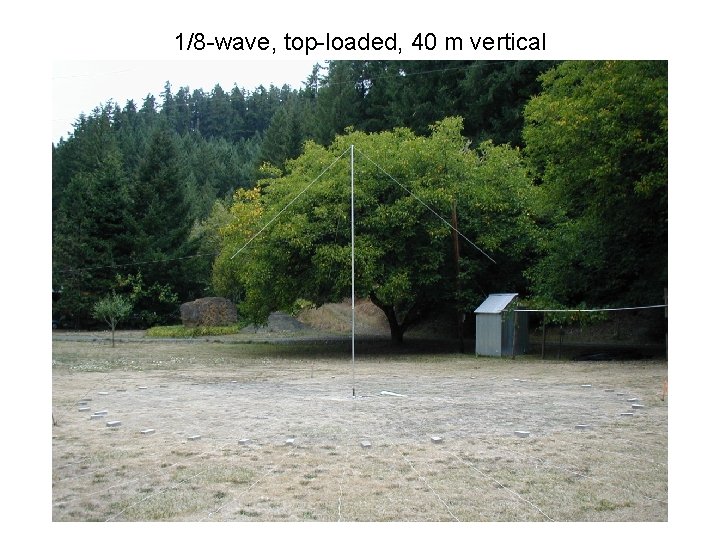 1/8 -wave, top-loaded, 40 m vertical 