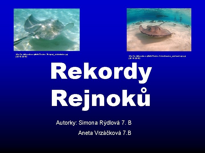 http: //cs. wikipedia. org/wiki/Soubor: Stingray_underwater. jpg (29. 10. 2010) Rekordy Rejnoků http: //cs. wikipedia.