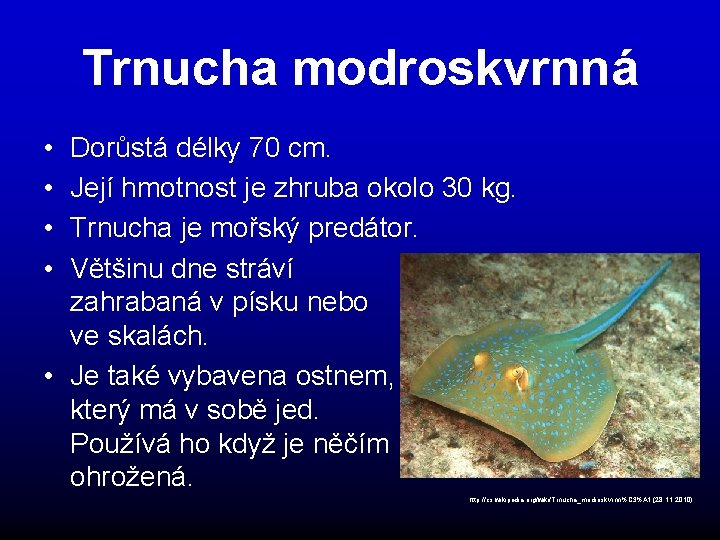 Trnucha modroskvrnná • • Dorůstá délky 70 cm. Její hmotnost je zhruba okolo 30