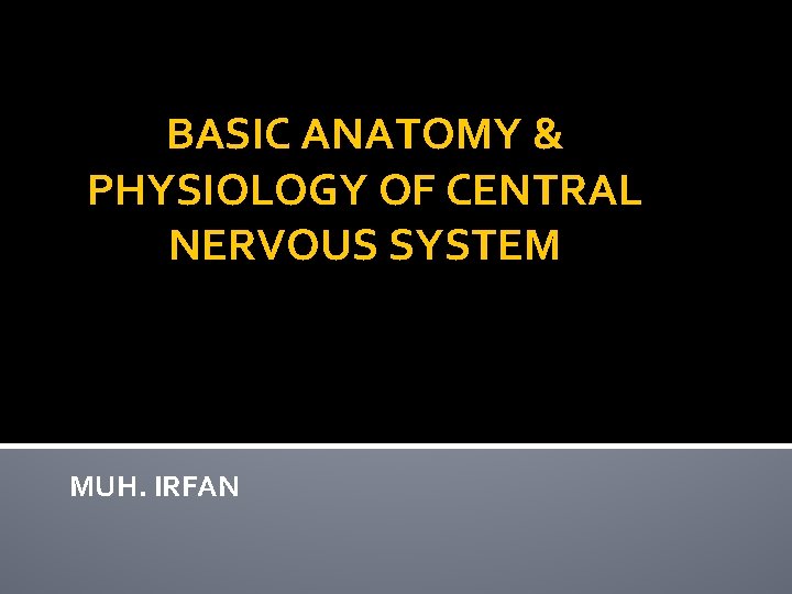 BASIC ANATOMY & PHYSIOLOGY OF CENTRAL NERVOUS SYSTEM MUH. IRFAN 