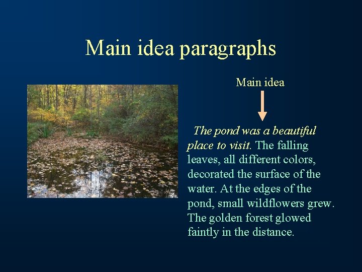 Main idea paragraphs Main idea The pond was a beautiful place to visit. The