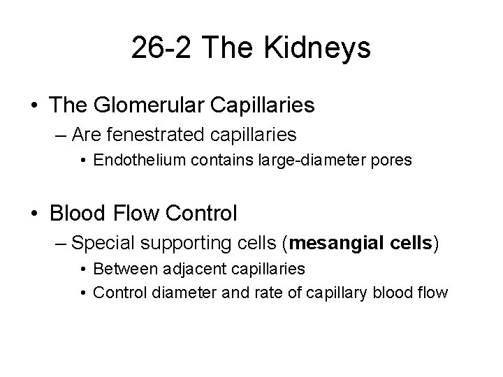 26 -2 The Kidneys • The Glomerular Capillaries – Are fenestrated capillaries • Endothelium