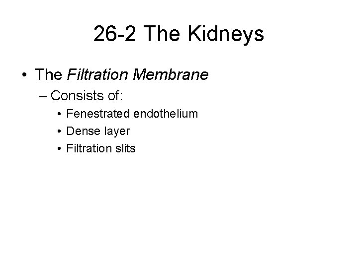 26 -2 The Kidneys • The Filtration Membrane – Consists of: • Fenestrated endothelium