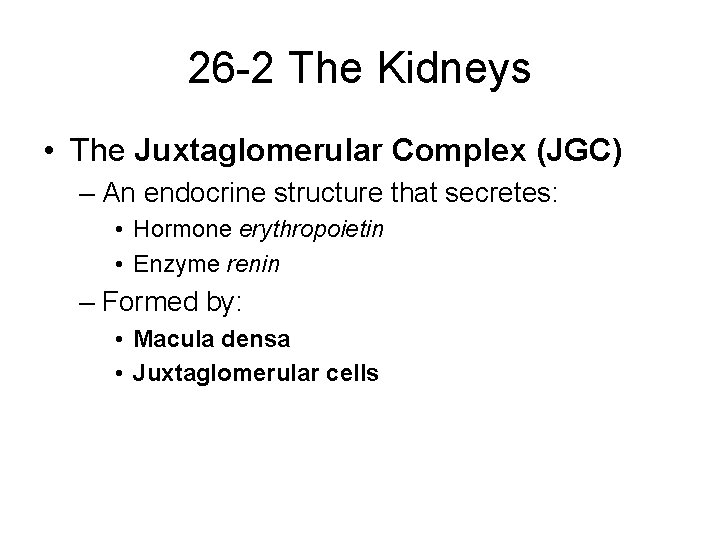 26 -2 The Kidneys • The Juxtaglomerular Complex (JGC) – An endocrine structure that