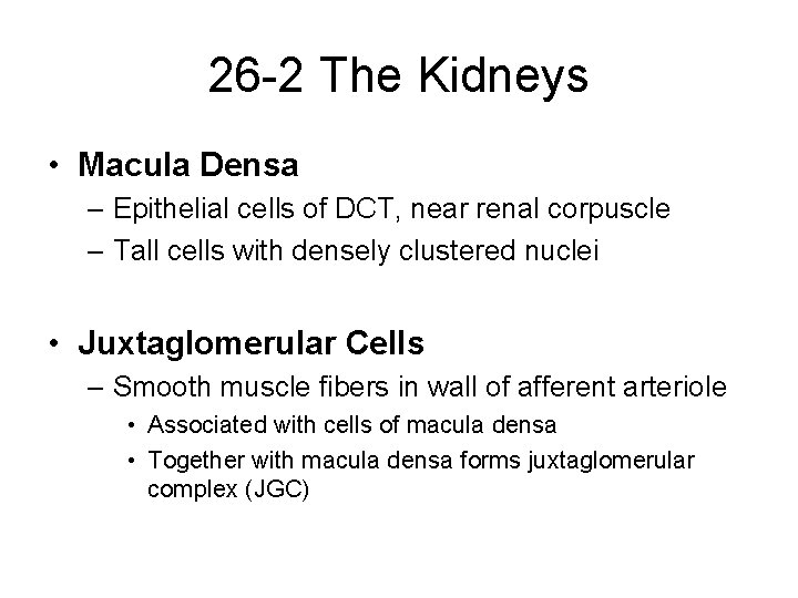26 -2 The Kidneys • Macula Densa – Epithelial cells of DCT, near renal