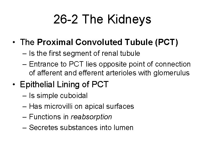 26 -2 The Kidneys • The Proximal Convoluted Tubule (PCT) – Is the first